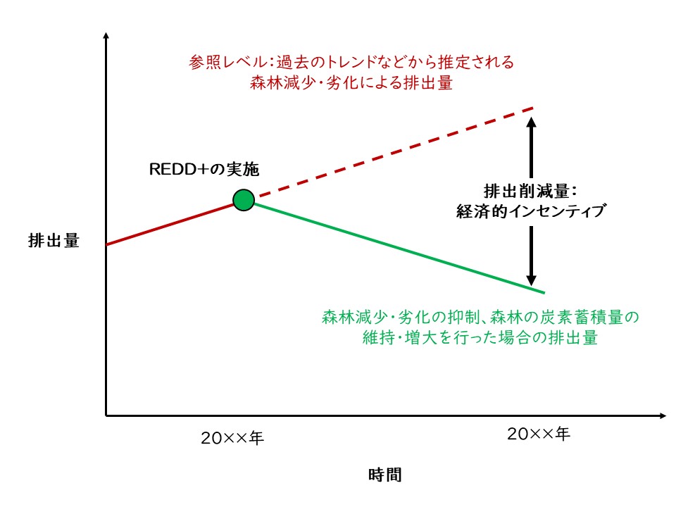 参照レベル:過去のトレンドなどから推定される森林減少・劣化による排出量